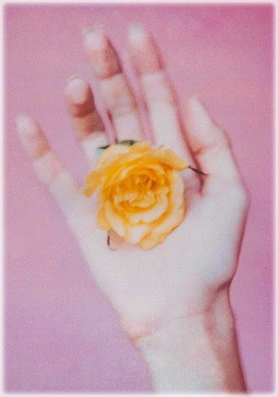 ROVERSI - FLOWER IN HAND - ANOTHER VERSION