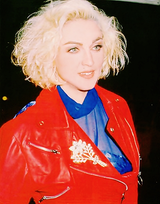 don't bungle the jungle 1 550